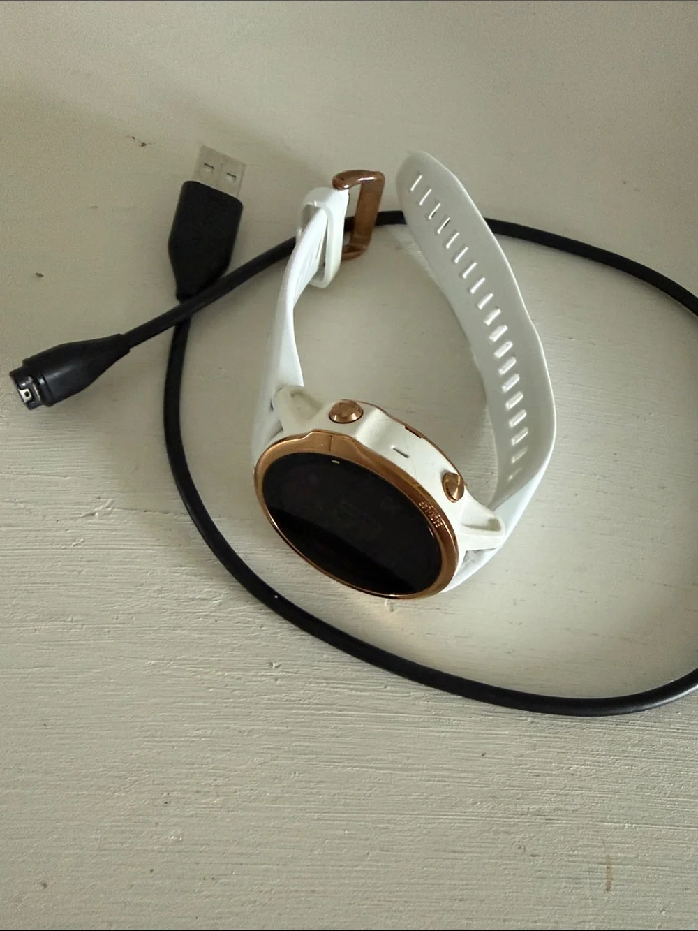 Garmin Fenix 6S Pro